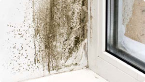The effects of condensation